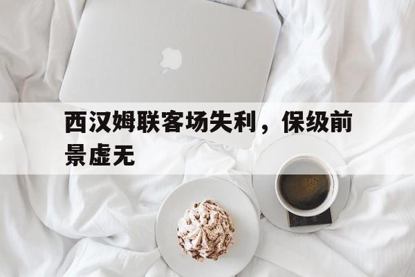 西汉姆联客场失利，保级前景虚无的简单介绍