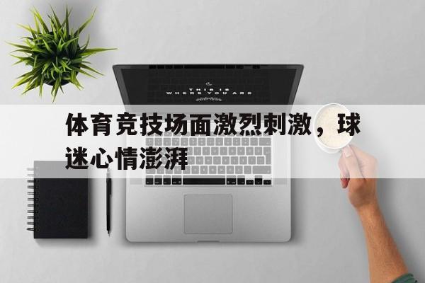 体育竞技场面激烈刺激，球迷心情澎湃